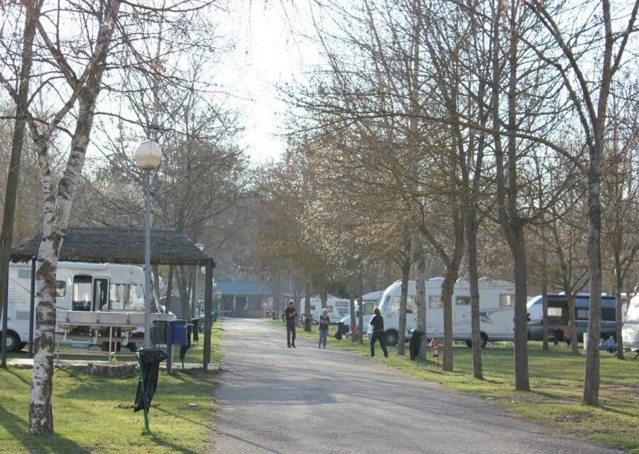 Camping Fuentes Blancas jovenes en zona de camping