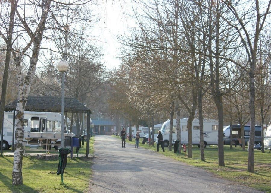 Camping Fuentes Blancas jovenes en zona de camping